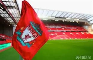 九游体育-科比肘击球迷至死